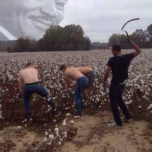 Meet your Posher, Dennys