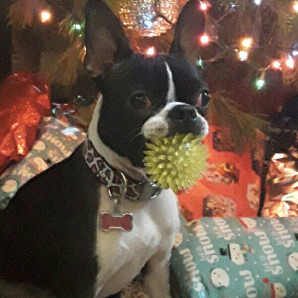 Meet your Posher, Billie