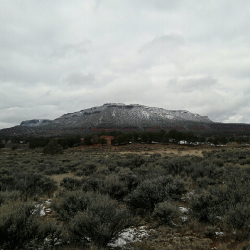 Meet your Posher, Brianne