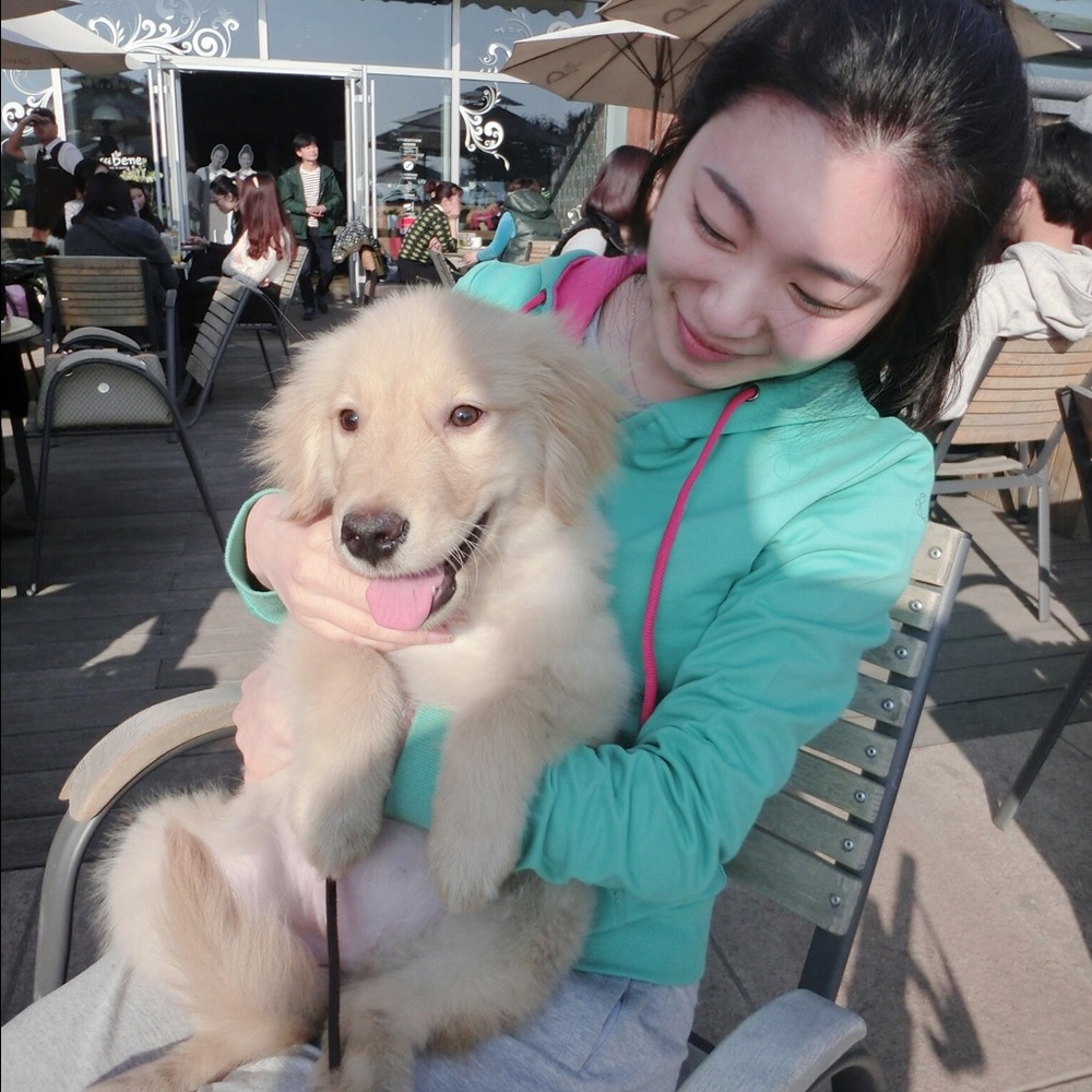 NOT THE DOG!