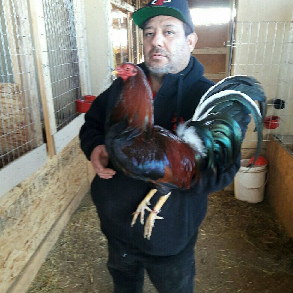 Meet your Posher, Enrique