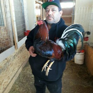 Meet your Posher, Enrique