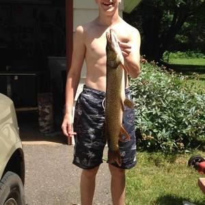 Meet your Posher, Tegan