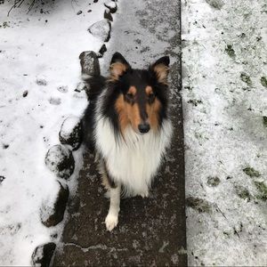 Meet your Posher, John