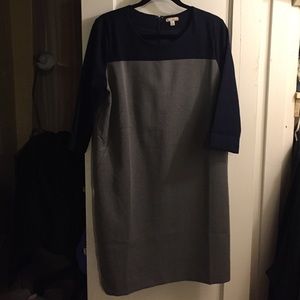 Gap Shift Dress
