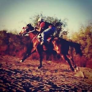 Meet your Posher, Bobby