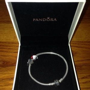 Pandora Bracelet & Charms