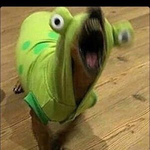 Meet your Posher, Ben