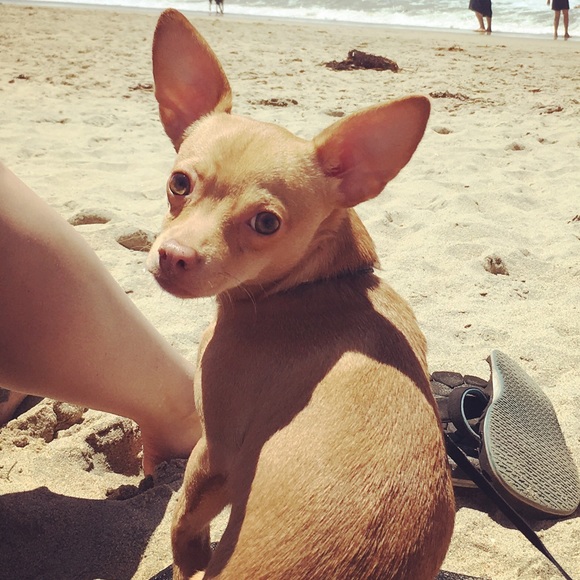 Meet your Posher, Caroline - Picture 1 of 1