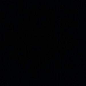 Meet your Posher, Ernest