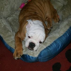 Meet your Posher, Teetee