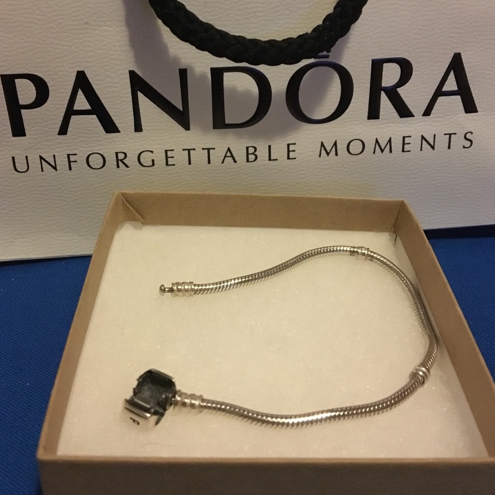 🐉Pandora Bracelet🐉