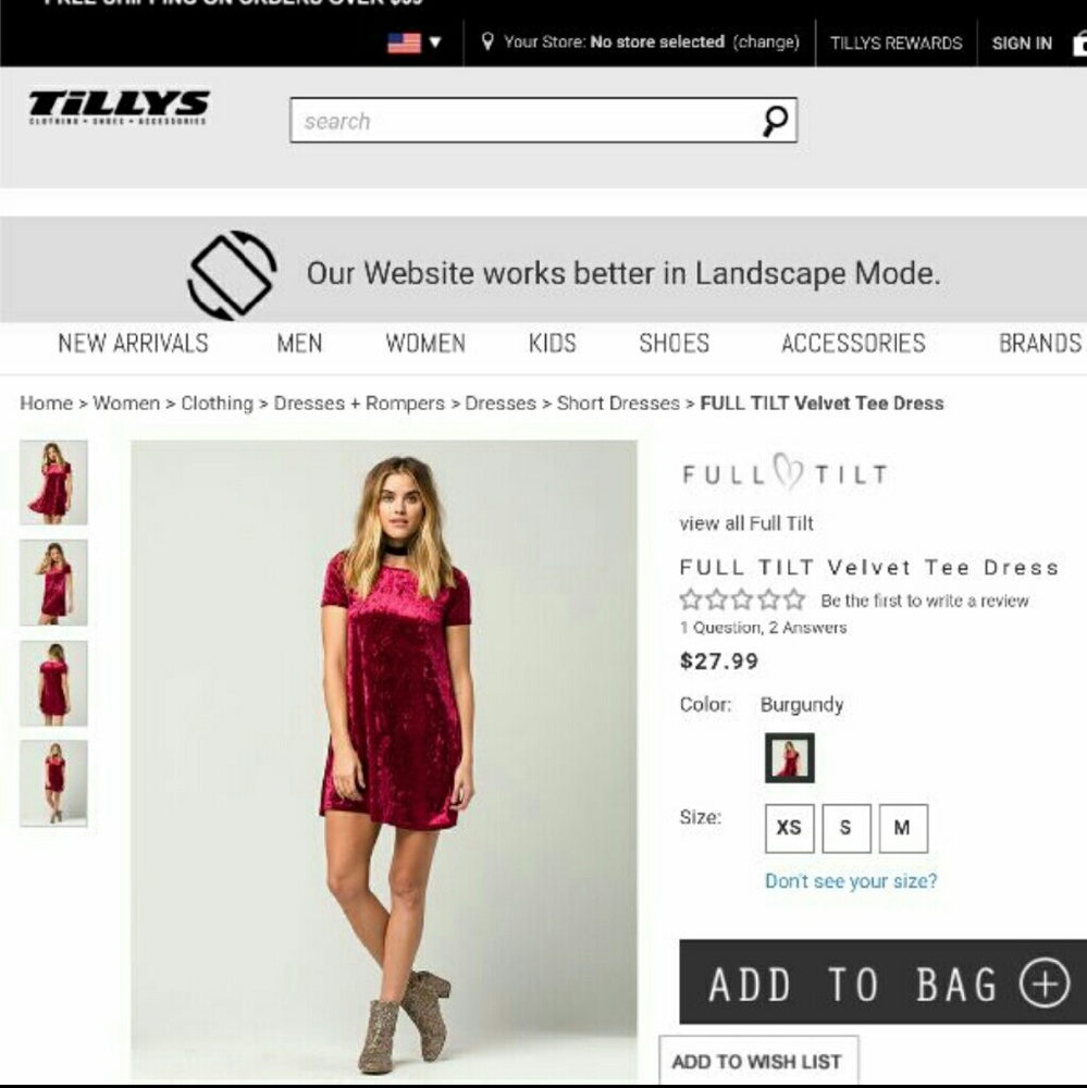 Full tilt velvet dress