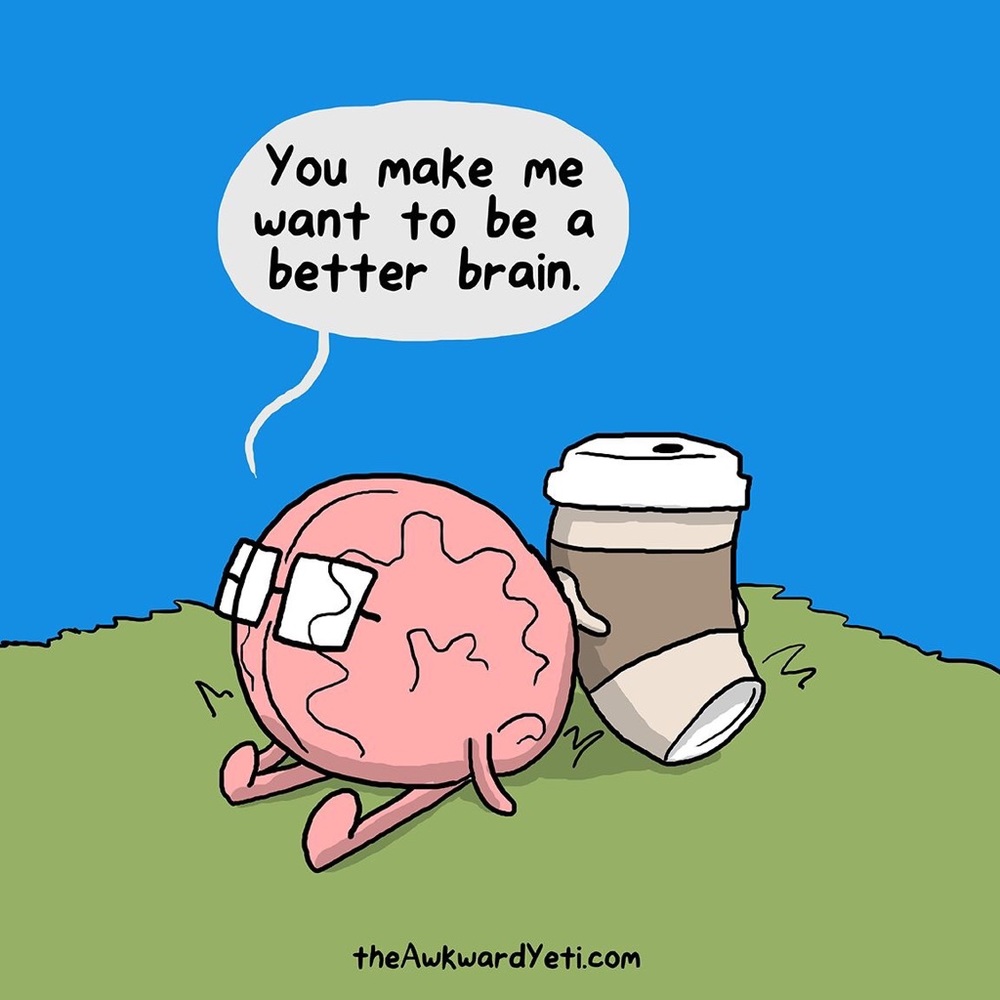 Meet your Posher, Holly