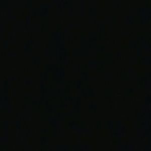 Meet your Posher, Josie