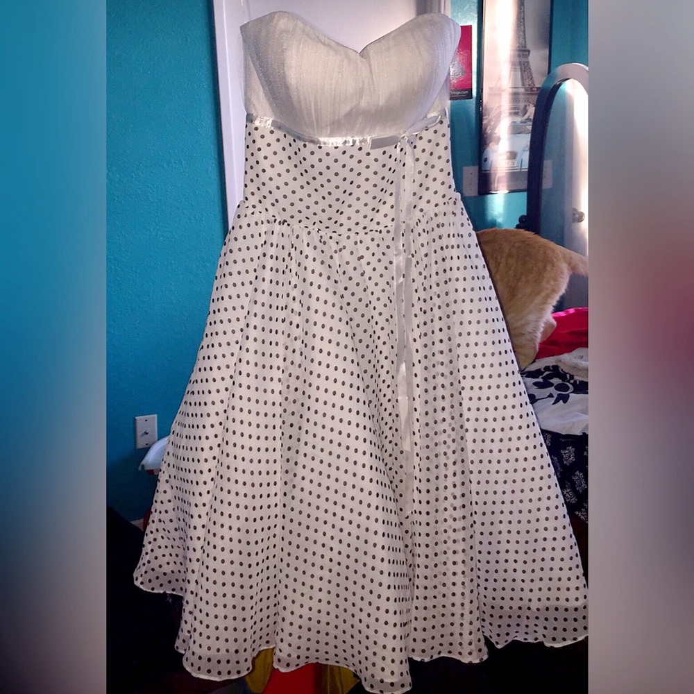 NWT Polka Dot Unique Vintage Swing Dress