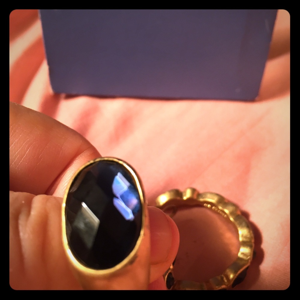 Lia Sophia sapphire (color) earrings & ring