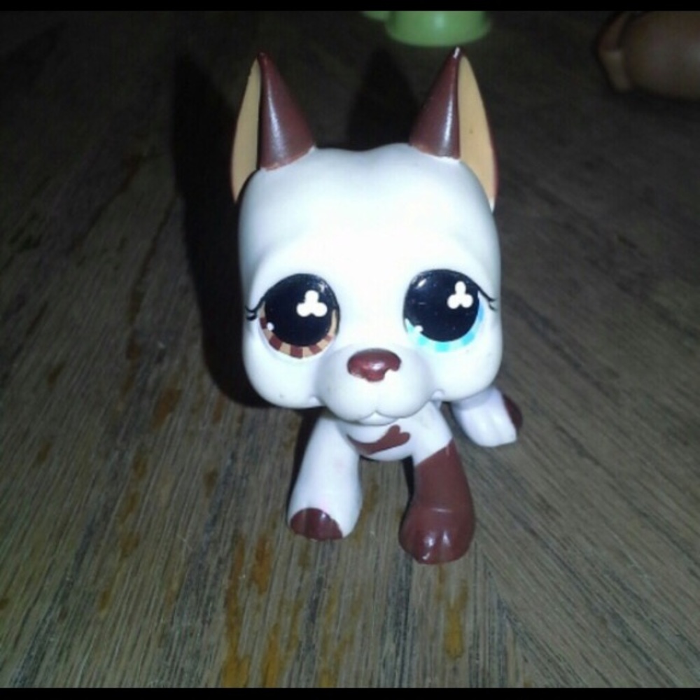 Rare lps Great Dane price is negotiable