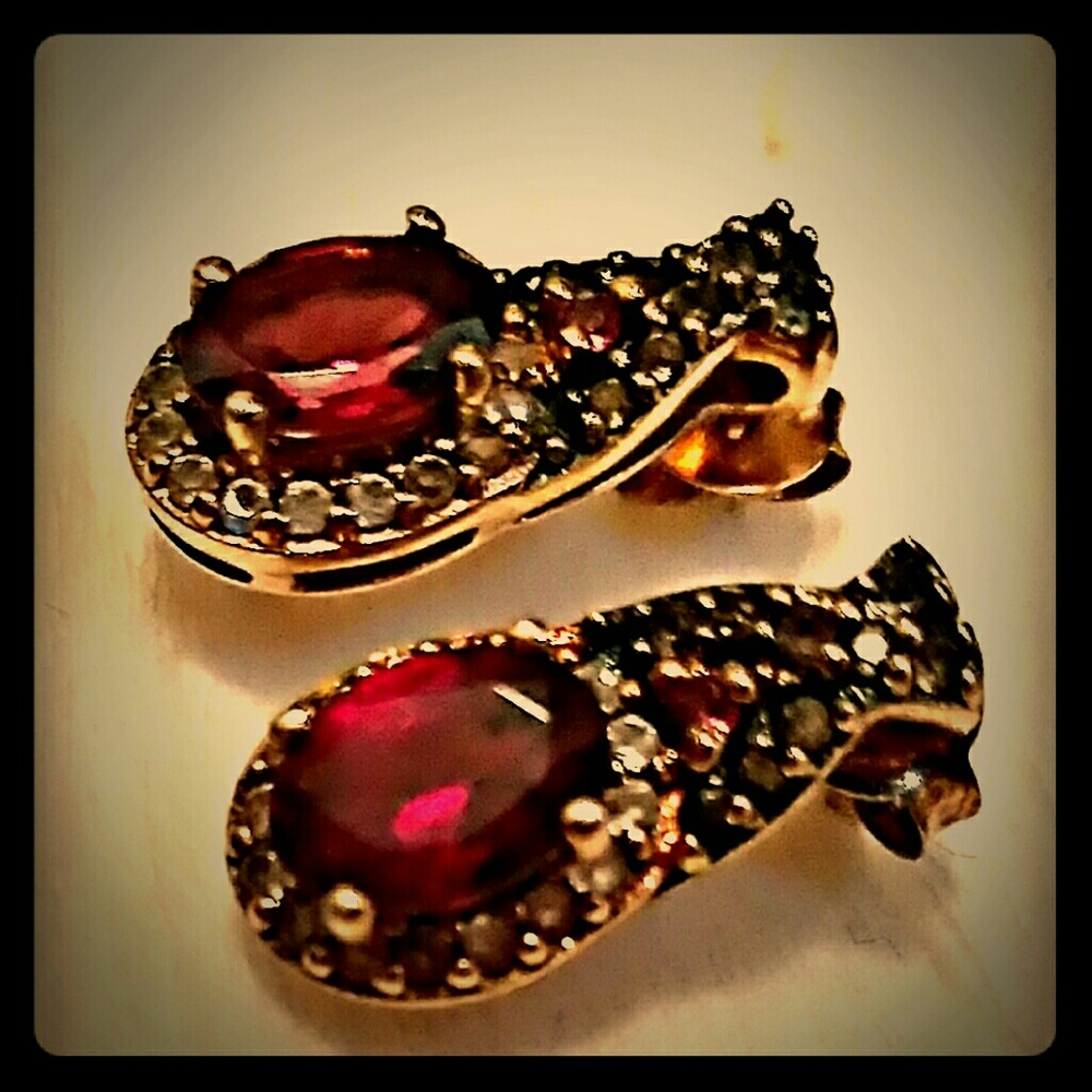 Le Vian Chocolate Raspberry Garnet Earrings🍓🍫🎁