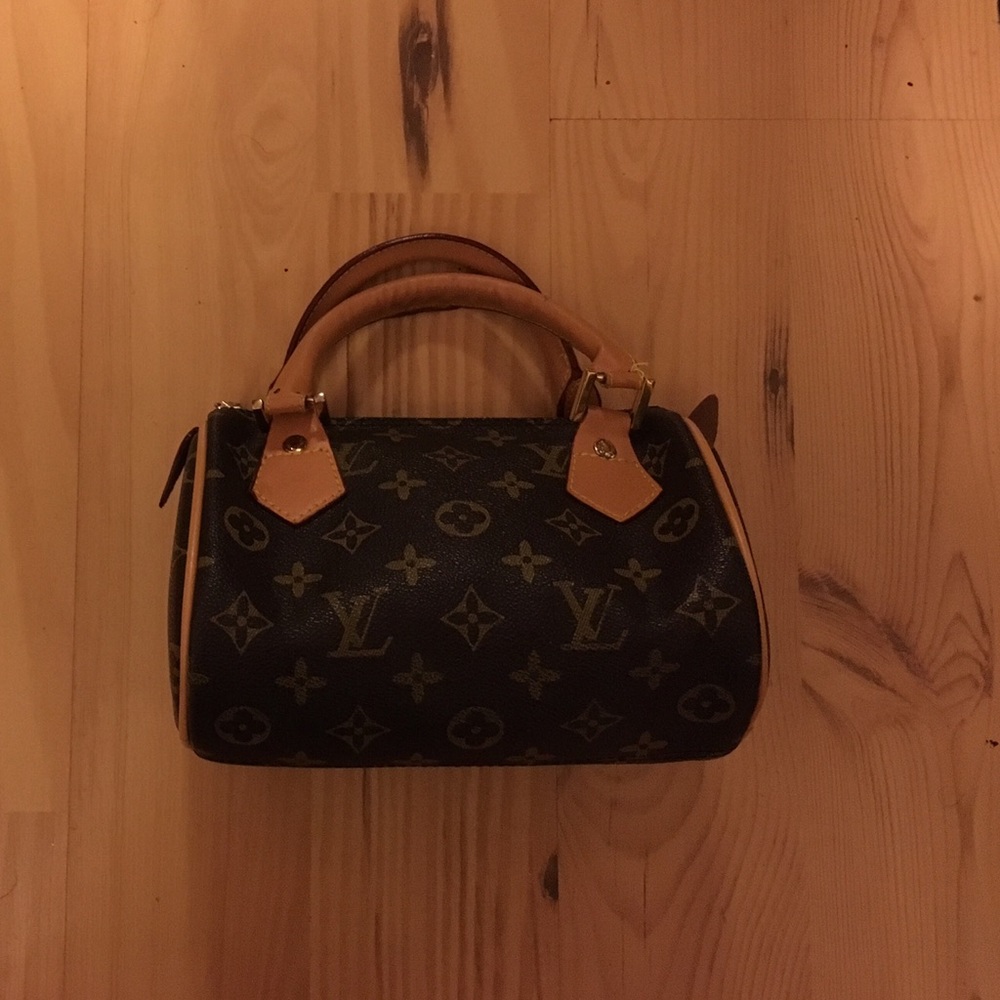 Small Louis Vuitton purse
