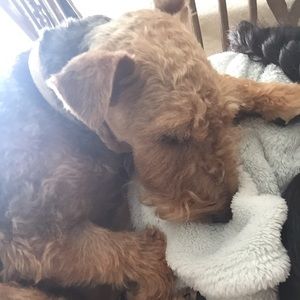 Meet your Posher, Malika