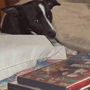 Meet your Posher, Tracy