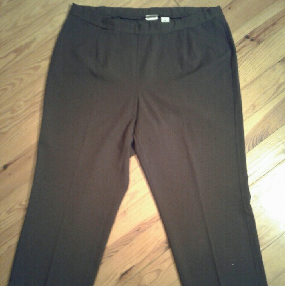 NWOT  PLUS SIZE Kim Roger's  Brown Slacks