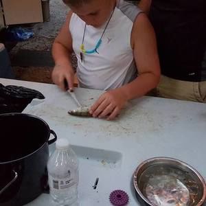 Meet your Posher, Frankie