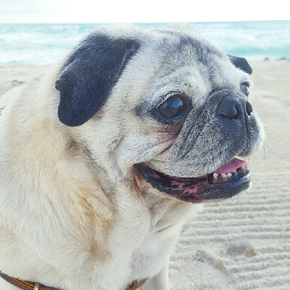 Meet your Posher, Brett - Picture 2 of 2