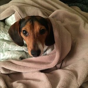 Meet your Posher, Allison