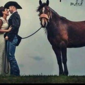 Meet your Posher, Ali