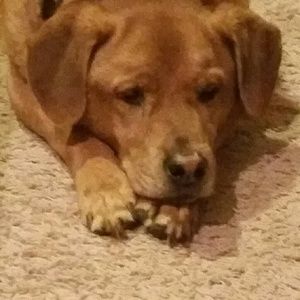 Meet your Posher, Jeff