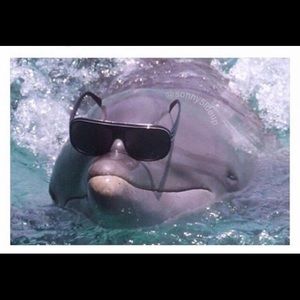 Meet your Posher, Tanner