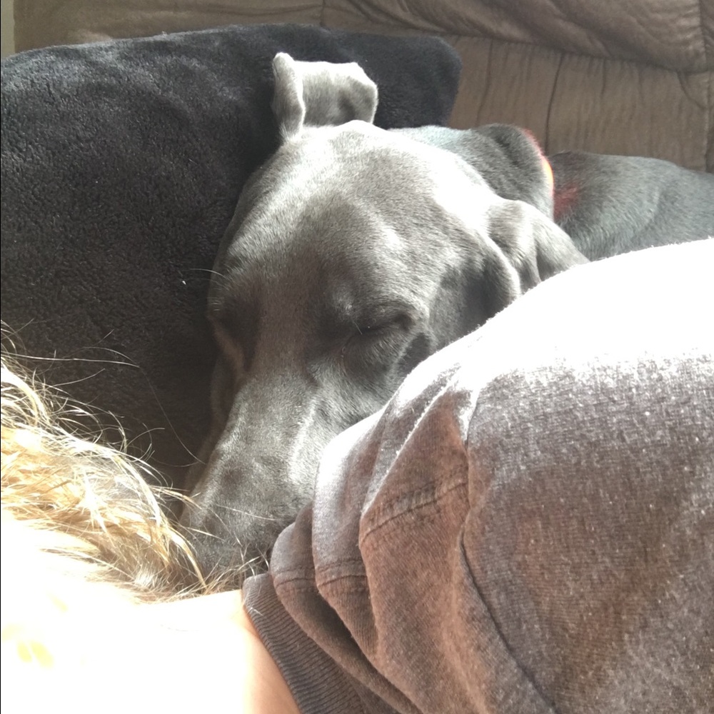 Meet your Posher, Eric