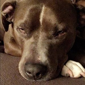 Meet your Posher, Kate