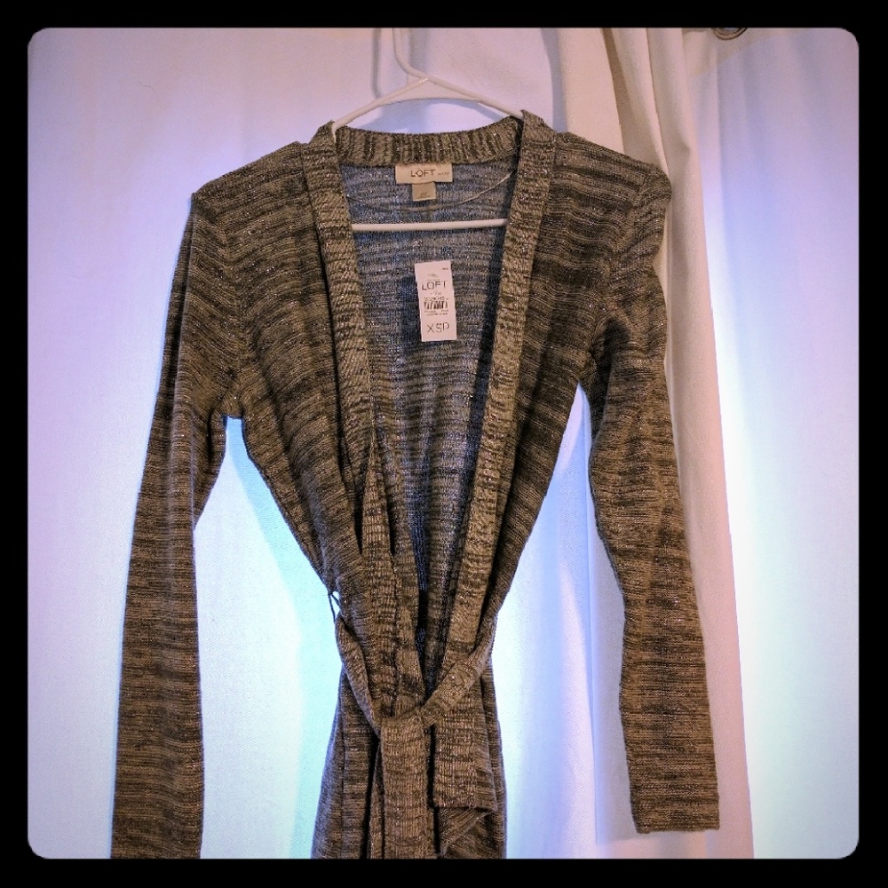 Loft xsp metallic thread sweater