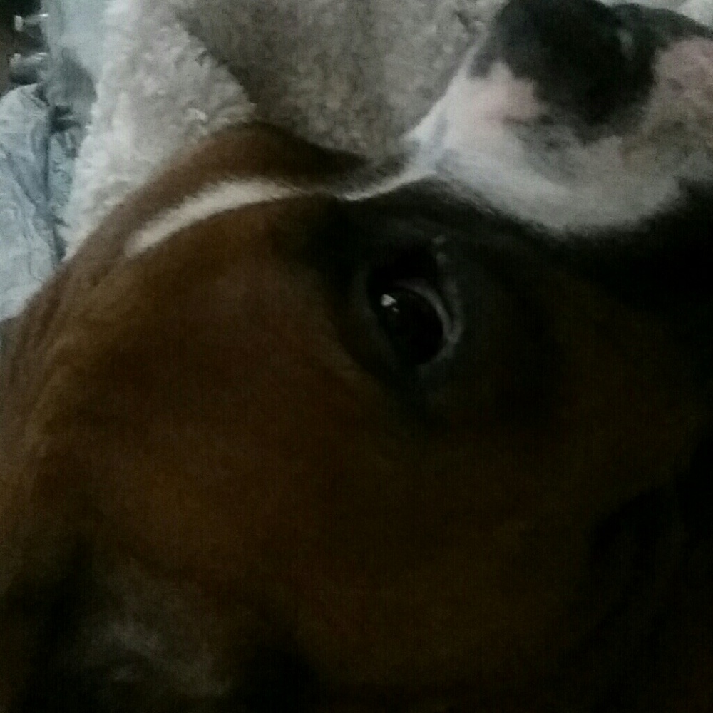 Meet your Posher, Carol