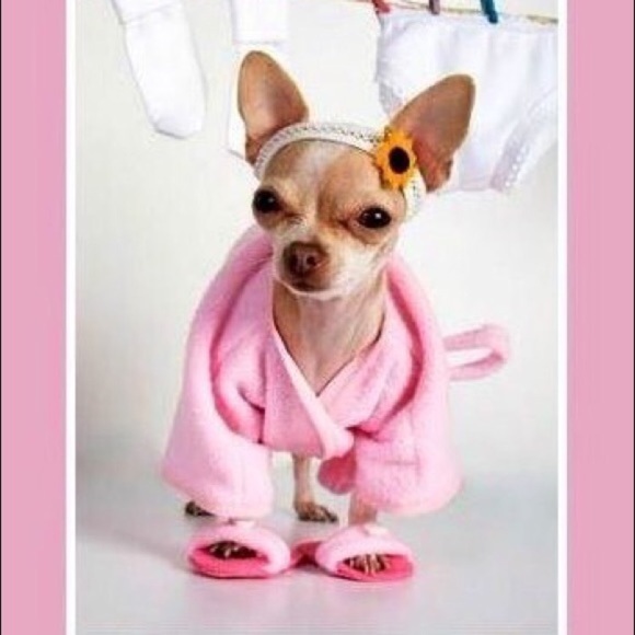 Meet your Posher, Lisa - Picture 8 of 8