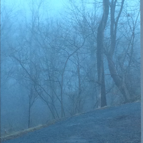 Meet your Posher, Sam - Picture 1 of 1