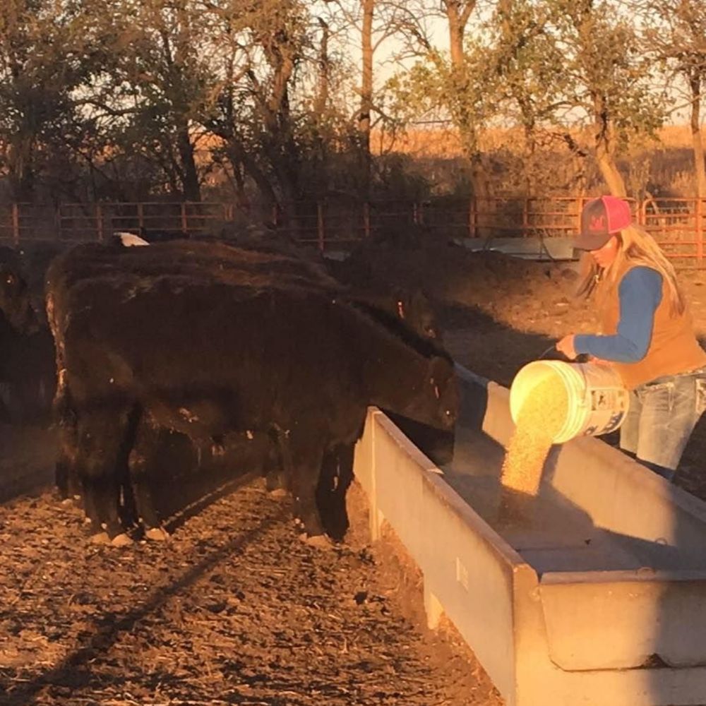 Meet your Posher, Sage