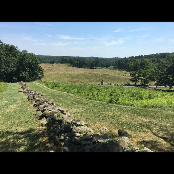 Meet your Posher, Nancy - Picture 1 of 1