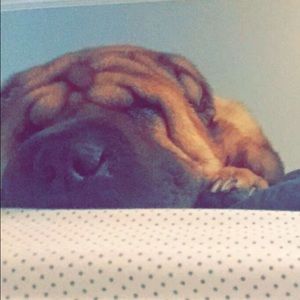 Meet your Posher, Eliza