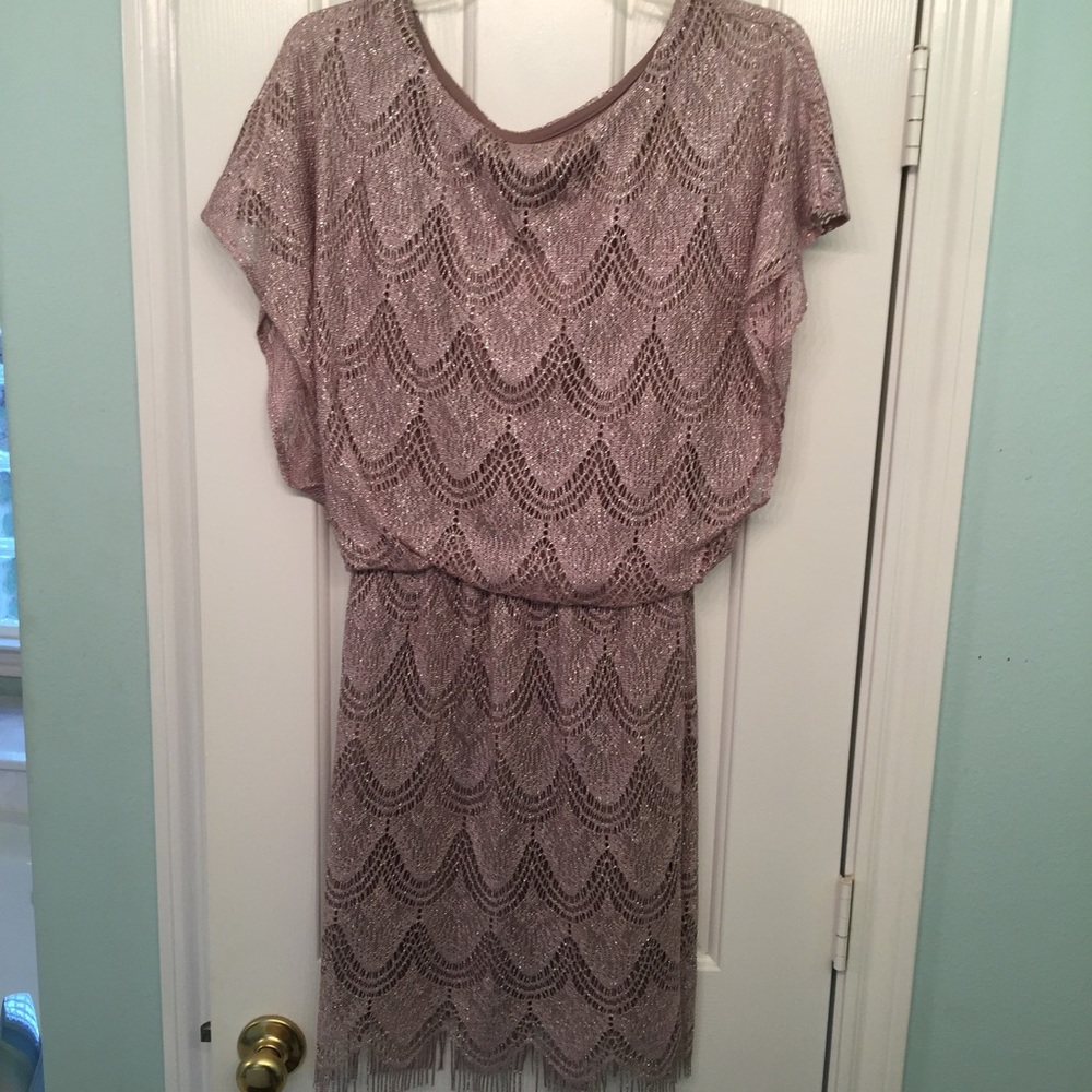 S.L. Fashions Champagne Drop-Waist Dress