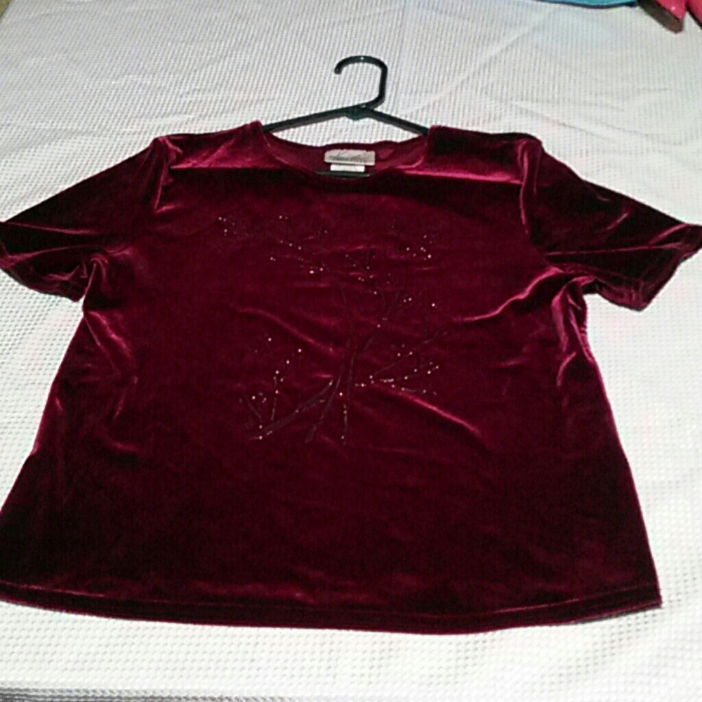 Kathy lee velvet style top