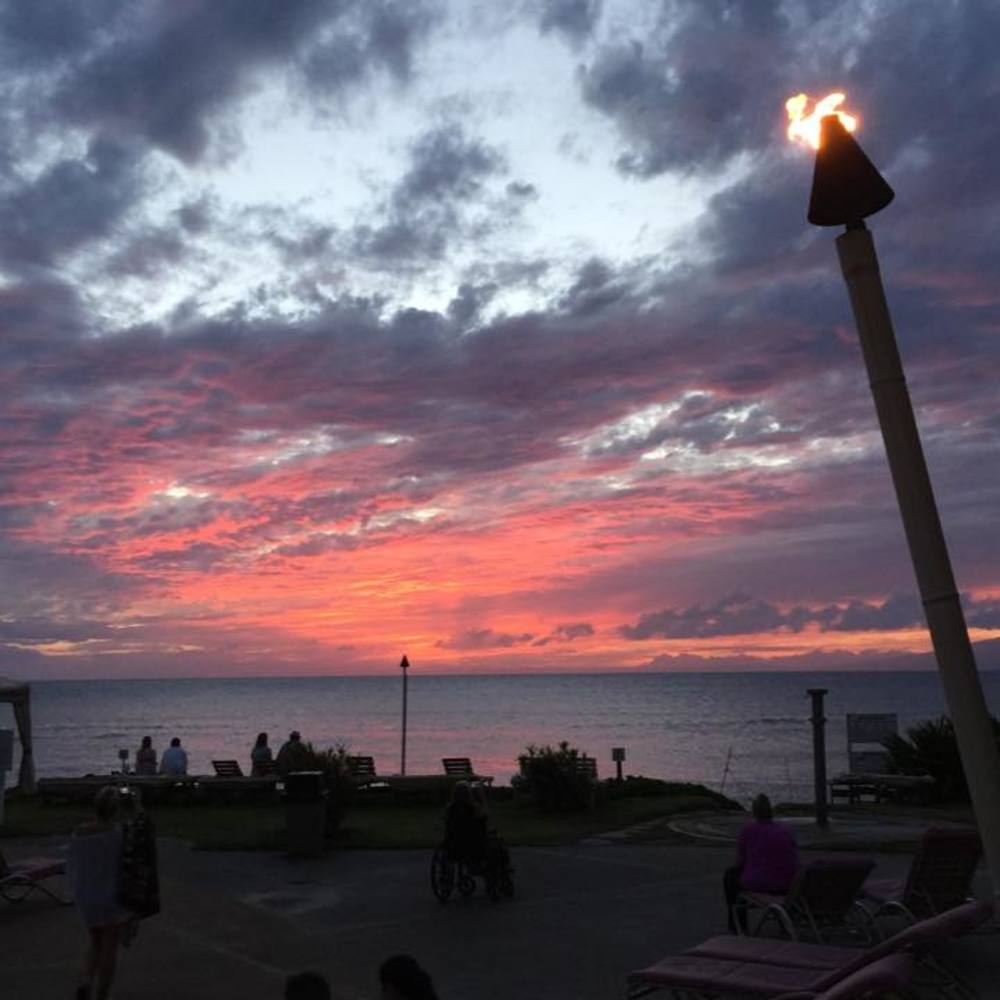 Meet your Posher, Arayana