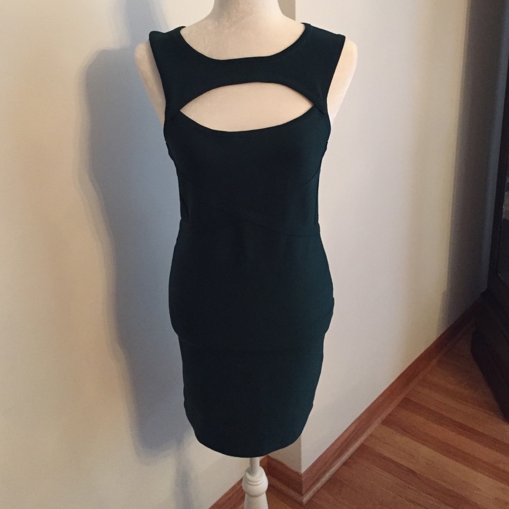 Windsor Form Fitting Dress