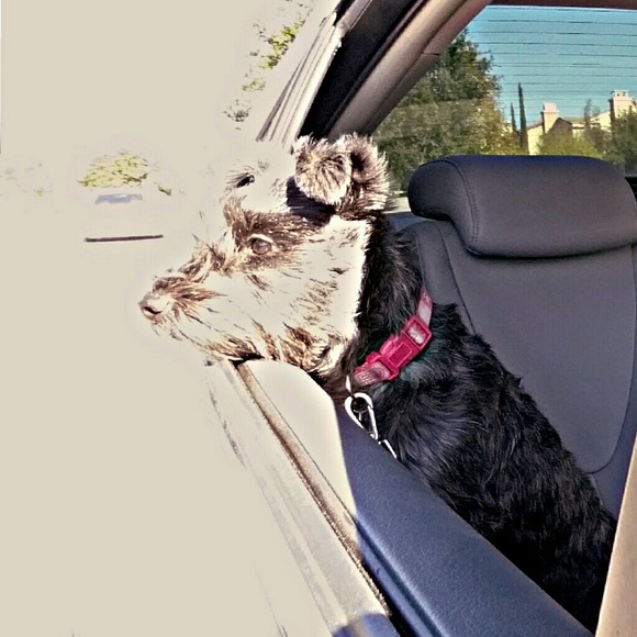 20% OFF Bundles!! :) Open to Offers. - Picture 2 of 3