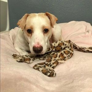 Meet your Posher, Renee