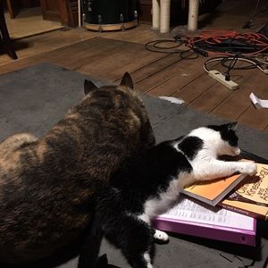 Meet your Posher, Katherine