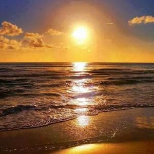 Meet your Posher, Kristie